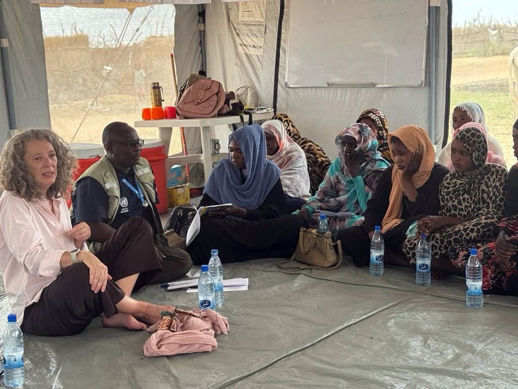 دينيس براون، منسقة الأمم المتحدة المقيمة ومنسقة الشؤون الإنسانية في السودان، مع أفراد المجتمع المحلي خلال زيارتها لمنطقة طويلة، شمال دارفور.